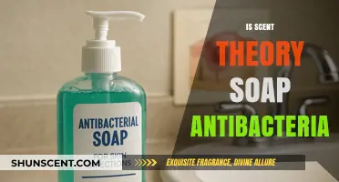 Unveiling the Truth: Does Scent Theory Soap Really Fight Bacteria?