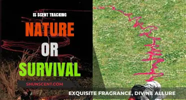 Unraveling the Instincts: Scent Tracking - Nature's Survival Blueprint