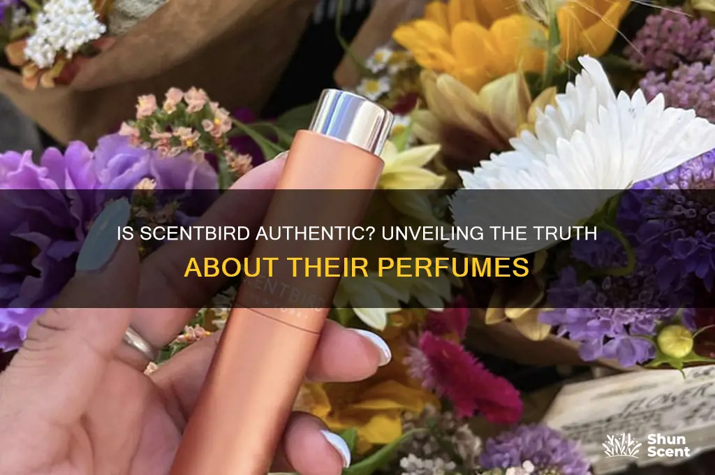 is scentbird authentic perfume