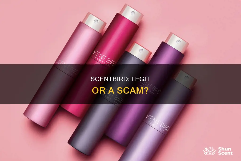 is scentbird real cologne