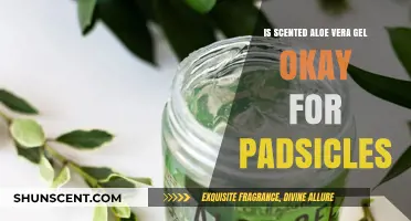 Soothing Relief: Scented Aloe Vera Gel for Padicles?