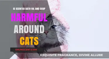 Feline Safety: The Truth About Scented Bath Products Around Cats