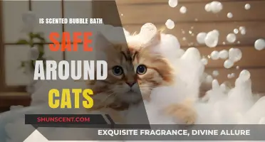 Feline-Friendly Suds: The Scoop on Scented Bubble Baths and Cats