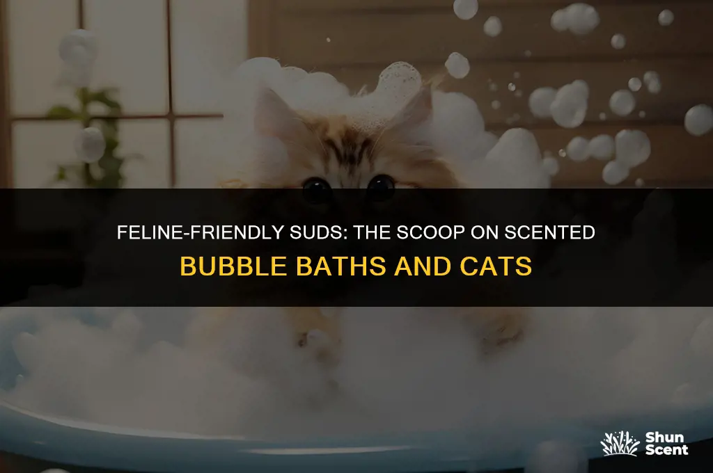 is scented bubble bath safe around cats