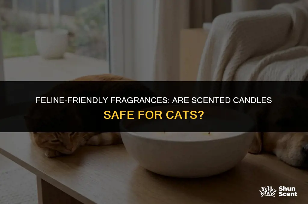 is scented candle safe for cats