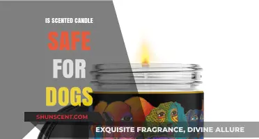 Are Scented Candles Safe for Dogs? A Comprehensive Guide for Pet Owners