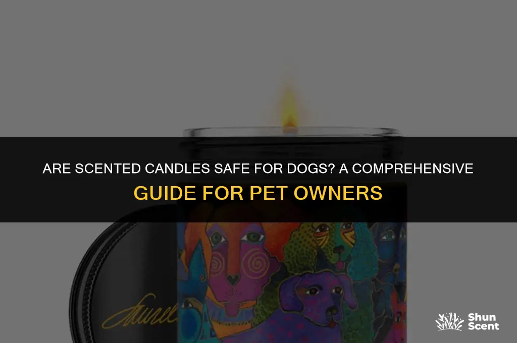 is scented candle safe for dogs