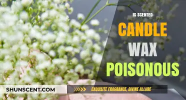 The Truth About Scented Candle Wax: Is It Really Poisonous?