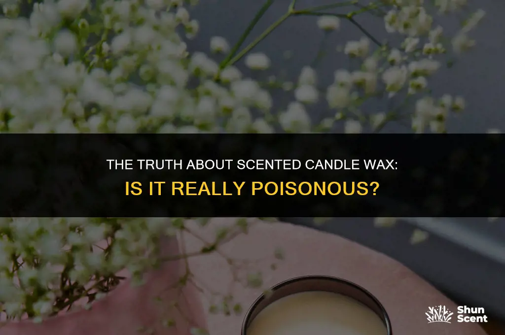 is scented candle wax poisonous