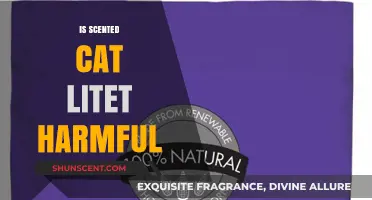 The Truth About Scented Cat Litter: Is It Harmful to Your Feline Friend?