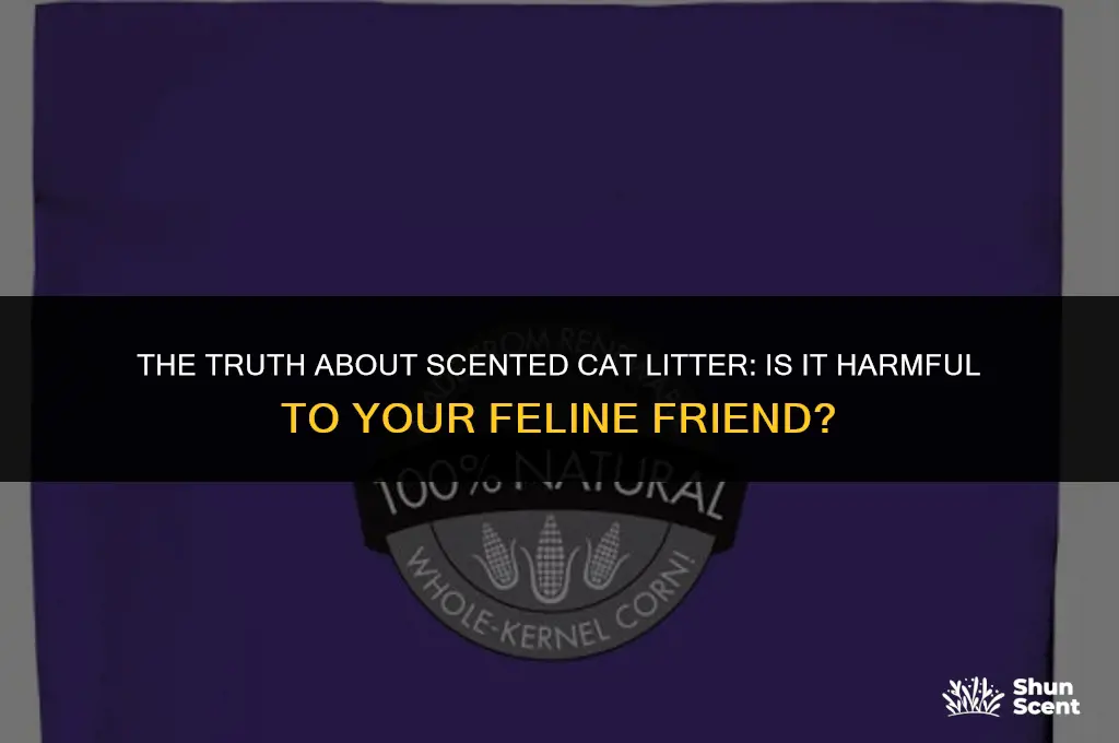 is scented cat litter bad for my cat