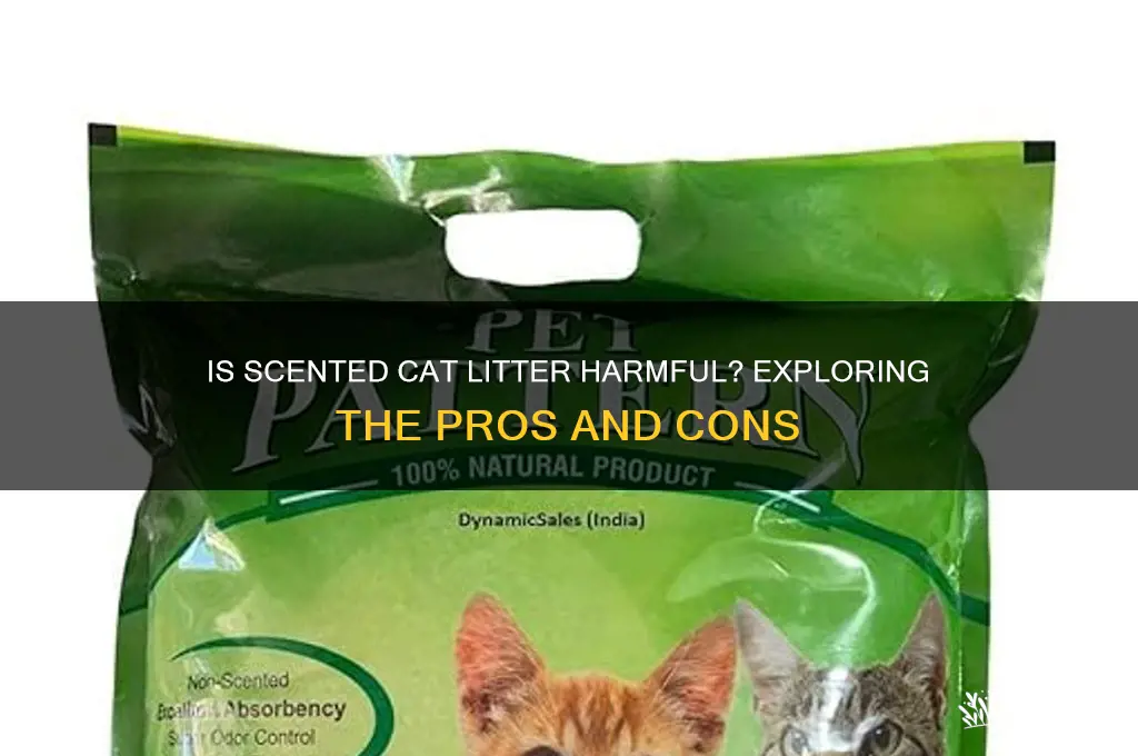 is scented cat litter bad