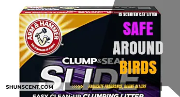 Exploring the Safety of Scented Cat Litter for Birds