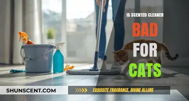 The Hidden Dangers of Scented Cleaners for Your Feline Friends
