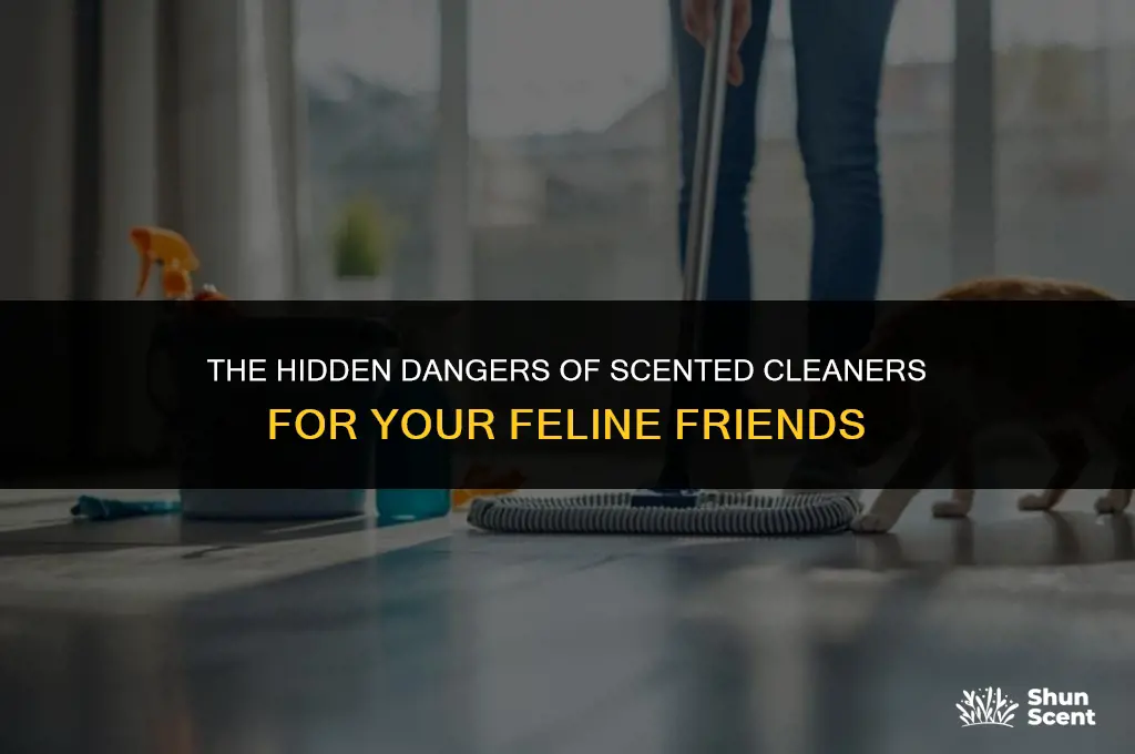 is scented cleaner bad for cats