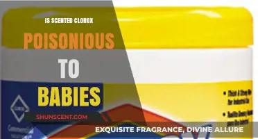 The Truth About Scented Clorox: Is It Safe for Babies?