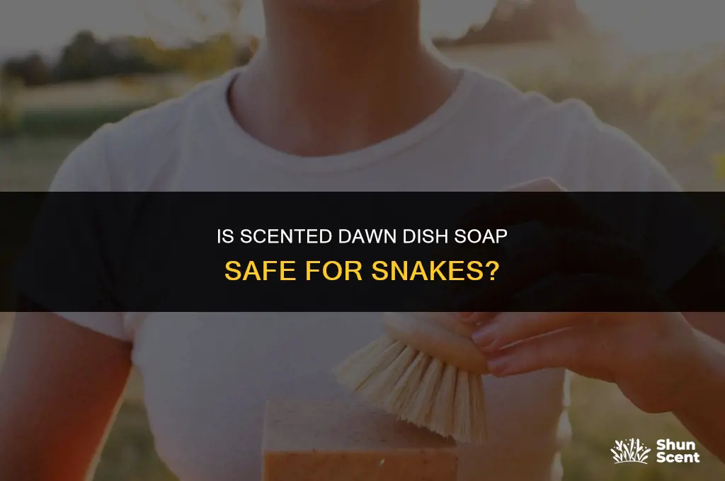 is scented dawn dish soap okay for snakes
