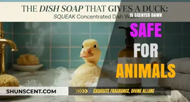 Is Scented Dawn Safe for Animals: A Comprehensive Guide