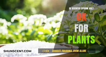 Nourishing Your Garden: The Benefits of Scented Epsom Salt for Plants