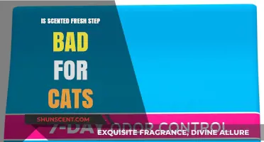 Exploring the Safety of Scented Fresh Step for Your Feline Friends