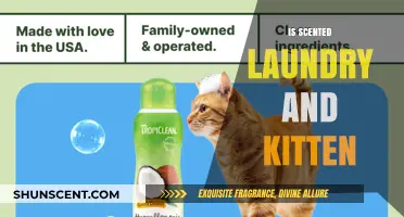 Fresh Laundry, Happy Kittens: The Purrfect Scented Bliss