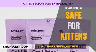 Exploring the Safety of Scented Litter for Your Kittens