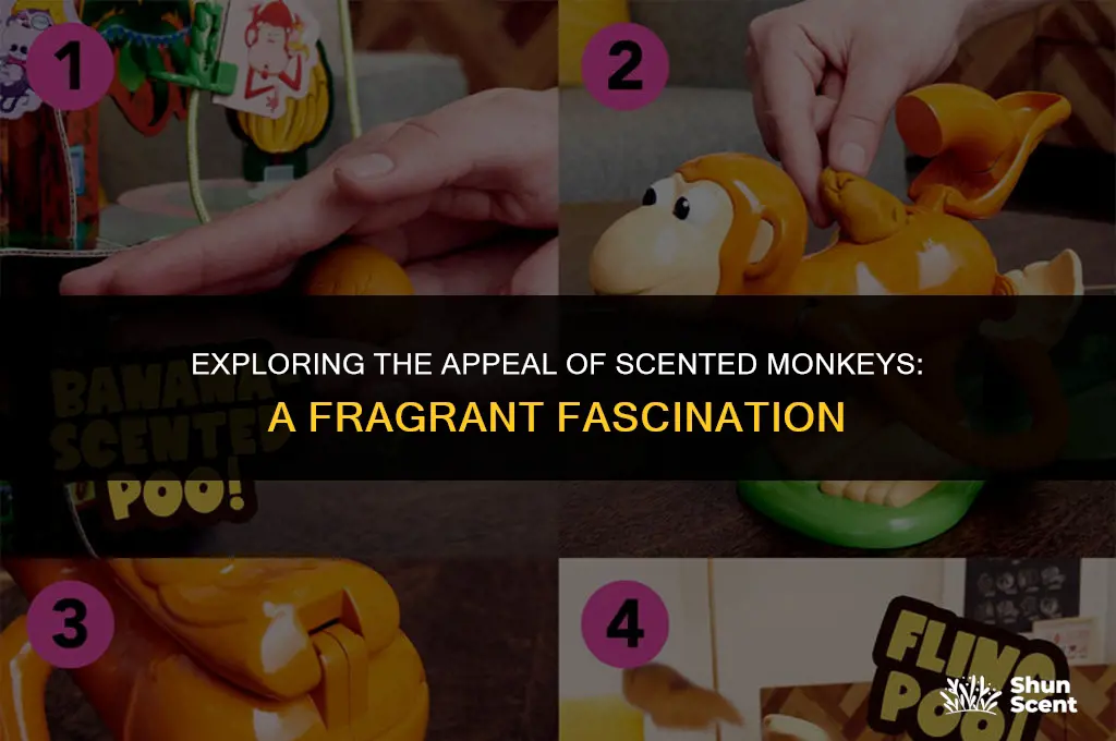 is scented monkey good