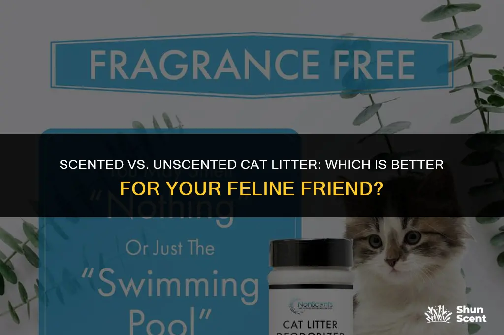 is scented or unscented cat litter better