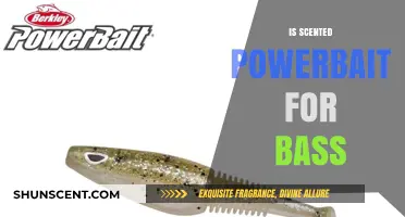 Unleashing the Power of Scented Powerbait for Bass Fishing Success