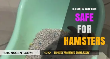 Hamster Care: The Safety of Scented Sand Baths Explained
