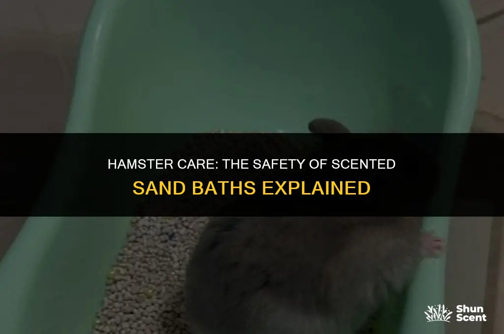 is scented sand bath safe for hamsters