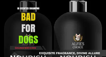 Is Scented Shampoo Safe for Dogs: What You Need to Know