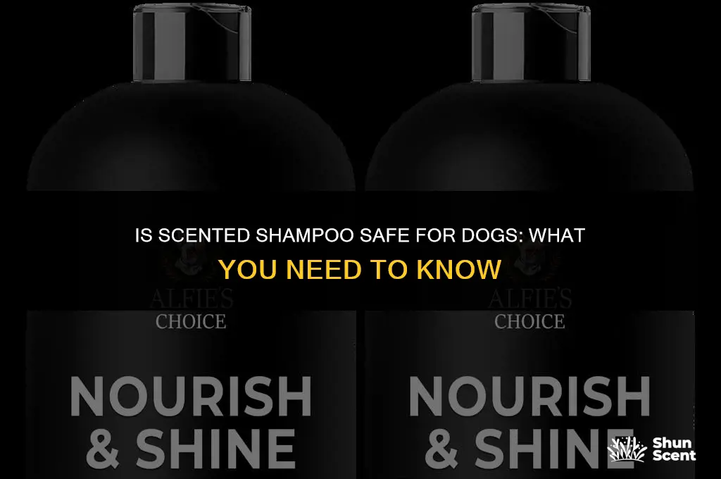 is scented shampoo bad for dogs