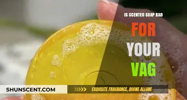 Unveiling the Truth: Is Scented Soap Safe for Your Vagina?