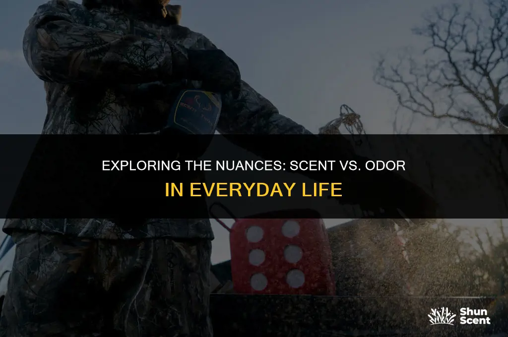 is scented the same as odor