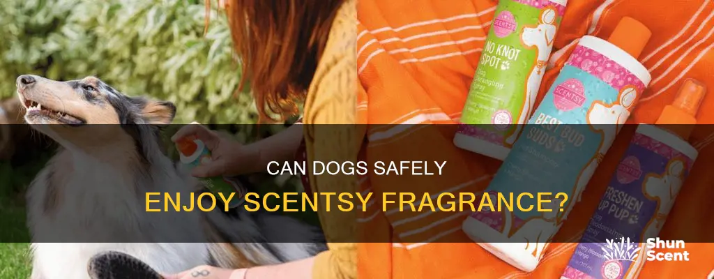 is scentsy fragrance ok for dogs