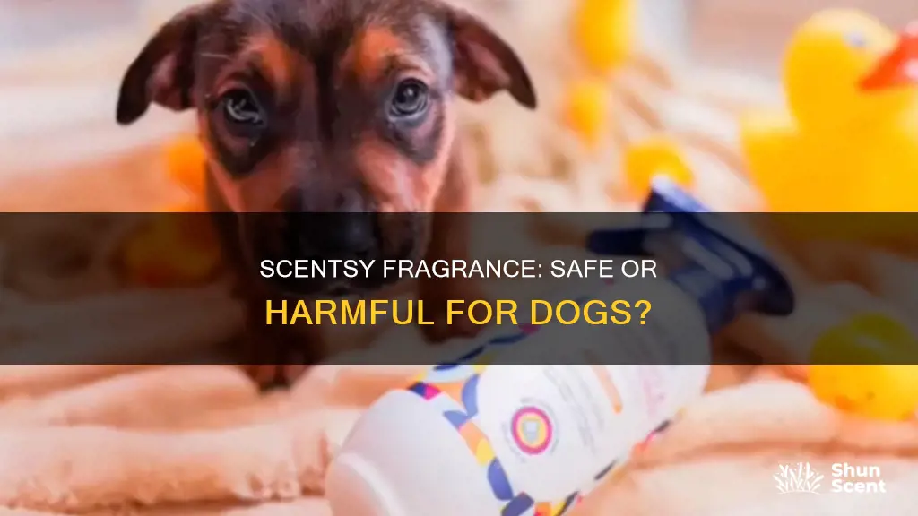 is scentsy fragrance ok for dogs