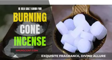 Sea Salt's Benefits for Burning Cone Incense