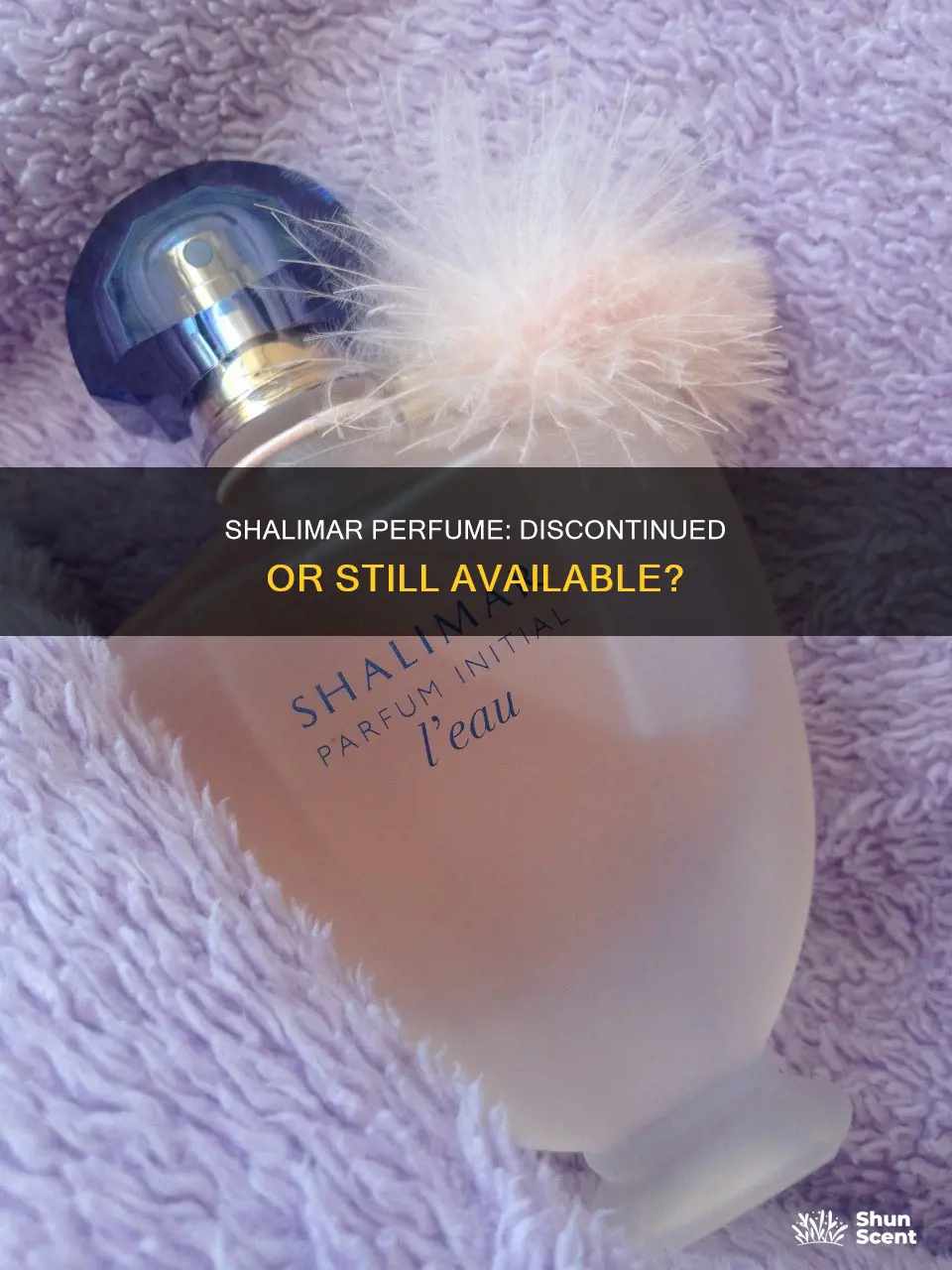 is shalimar perfume discontinued