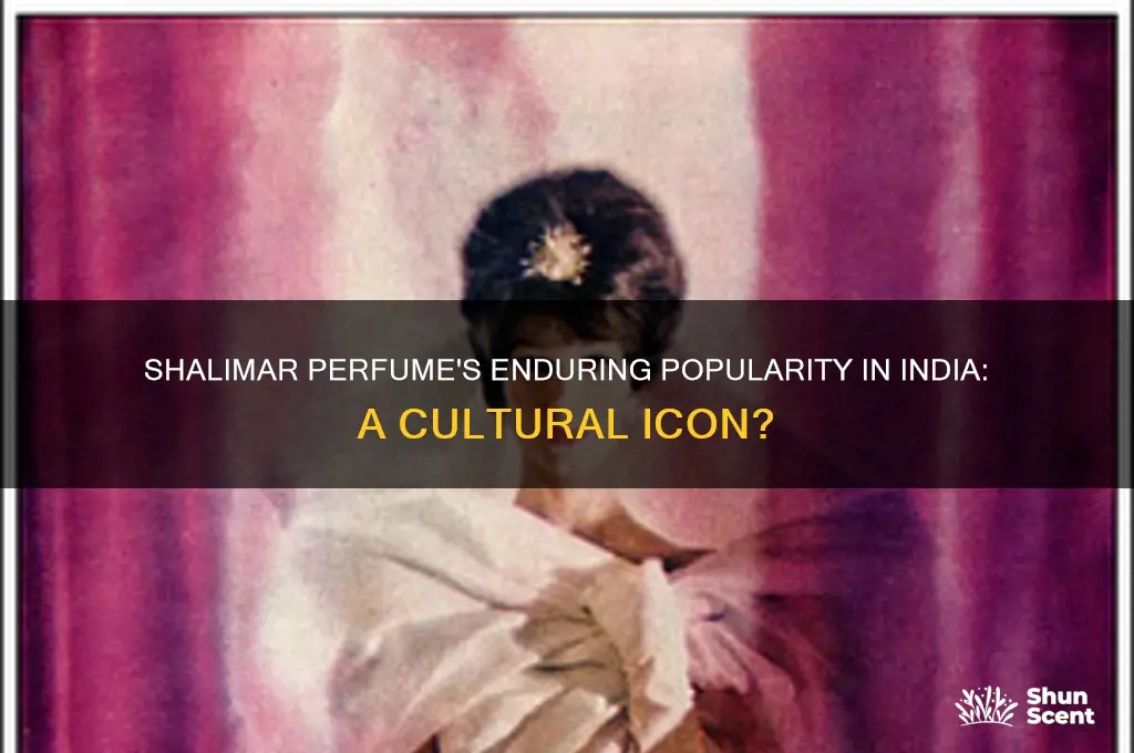 is shalimar perfume popular in inida