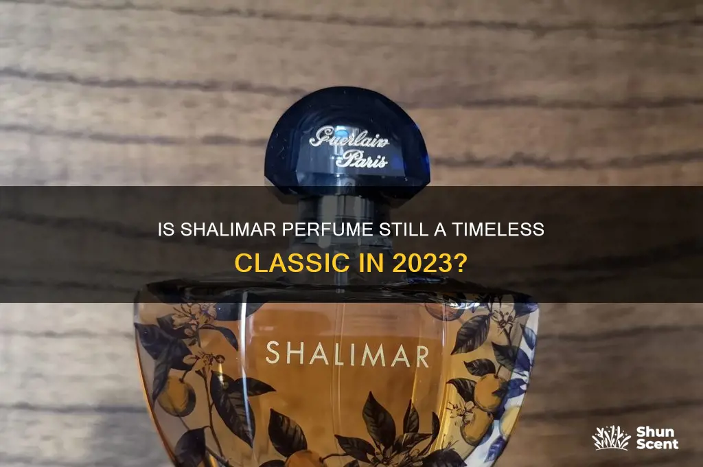 is shalimar perfume still popular