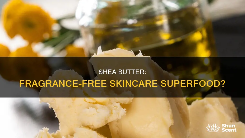is shea butter fragrance free