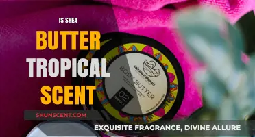 Unveiling the Tropical Essence: Is Shea Butter Truly a Tropical Scent?