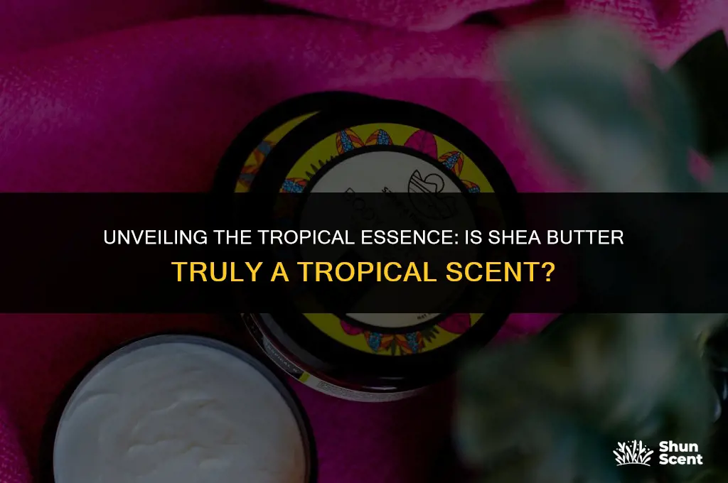 is shea butter tropical scent