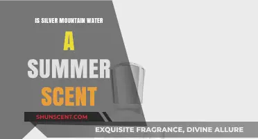 Exploring the Crisp Essence of Silver Mountain Water: A Summer Fragrance?