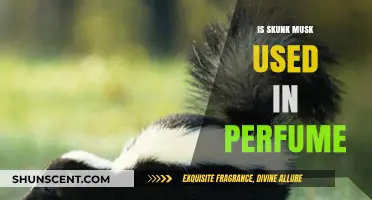 Unveiling the Truth: Skunk Musk's Role in Modern Perfumery