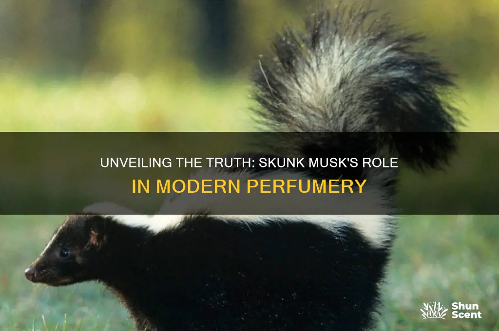 is skunk musk used in perfume