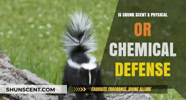 Nature's Pungent Protection: Skunk Scent as a Chemical Defense Mechanism