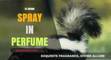 Unveiling the Truth: Skunk Spray in Perfumes – Myth or Reality?