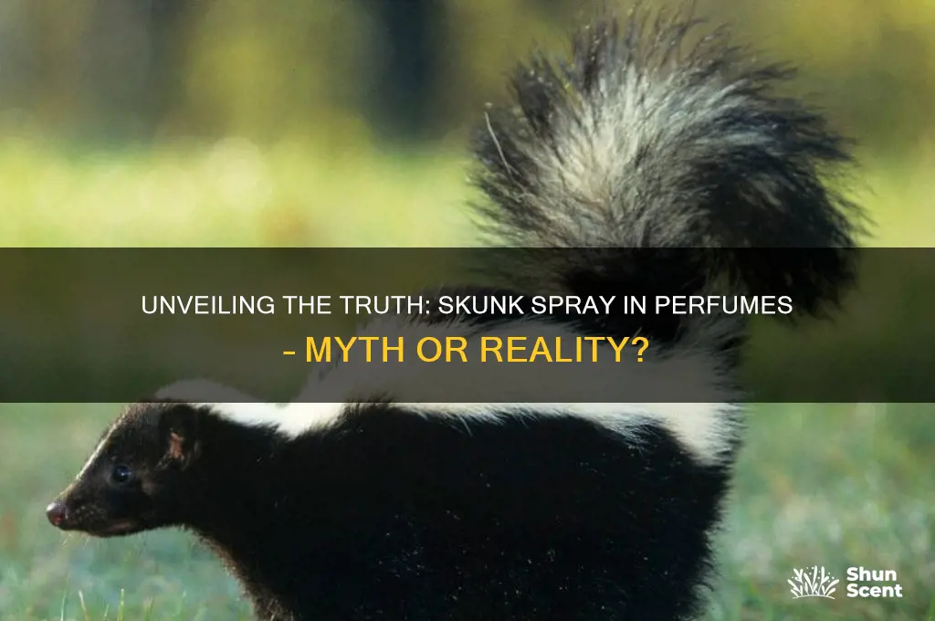 is skunk spray in perfume